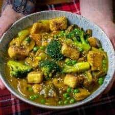 Vegan Chinese curry in a blue bowl being held by a pair of hands.