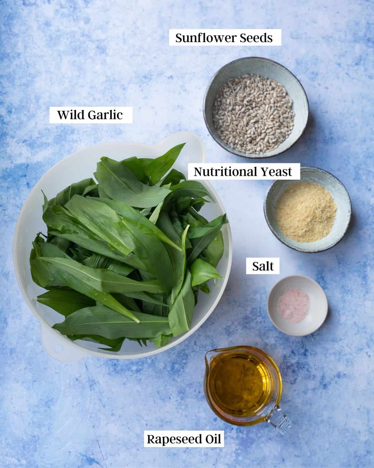 Ingredients for wild garlic pest on a light blue surface.