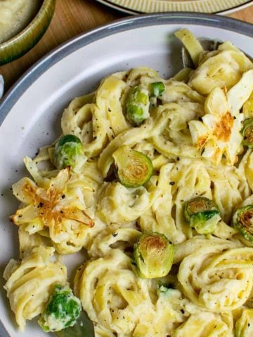 Creamy vegan cauliflower Alfredo on a plate with sprouts
