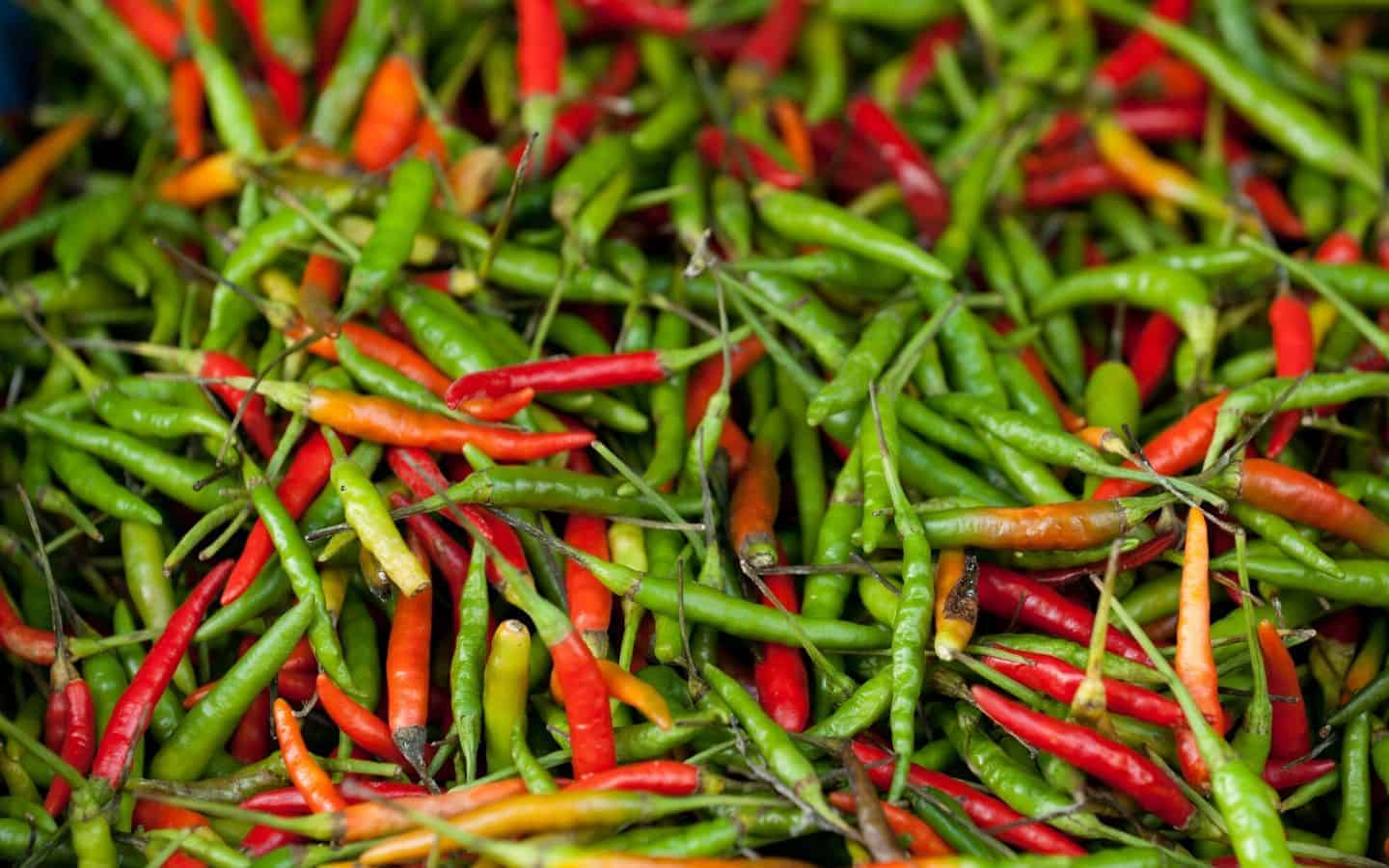 Loads of red and green bird eye chillies
