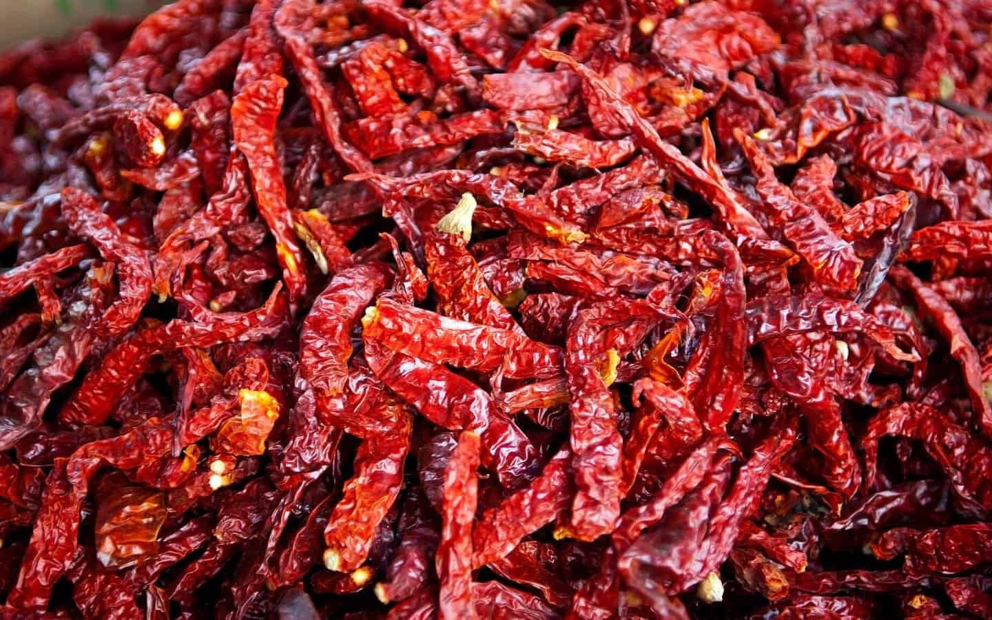 Lots of dried red chillies