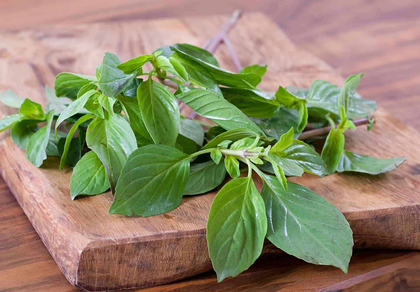 A dark brown wooden chopping board with Thai basil on it