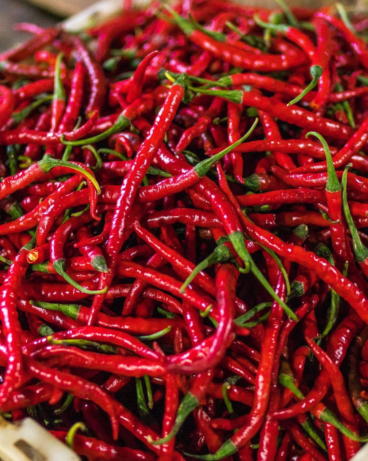 Many fresh red chilies.