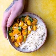 Vegetable passanda in a bowl with rice in half of the dish and a hand with tattoos