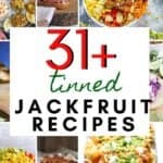 A collage of jackfruit recipes with a title in the middle.