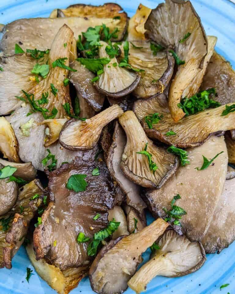 Fried oyster mushrooms with herbs.