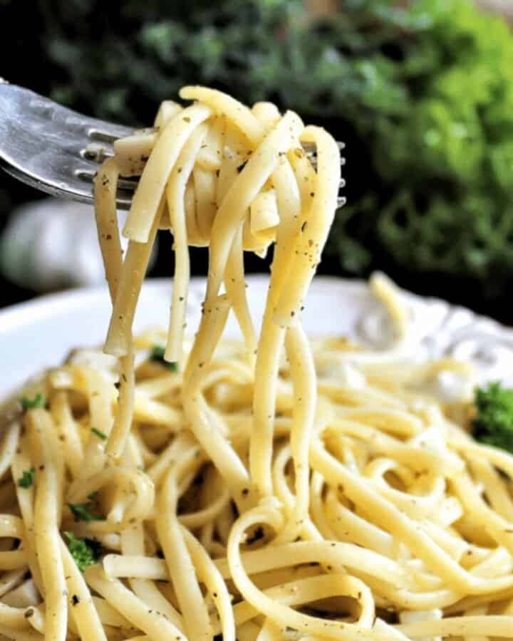 20+ Best Oyster Mushroom Recipes (Vegan) - Vegan Punks