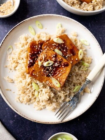 Braised gochujang tofu on a bed of rice on a plate.