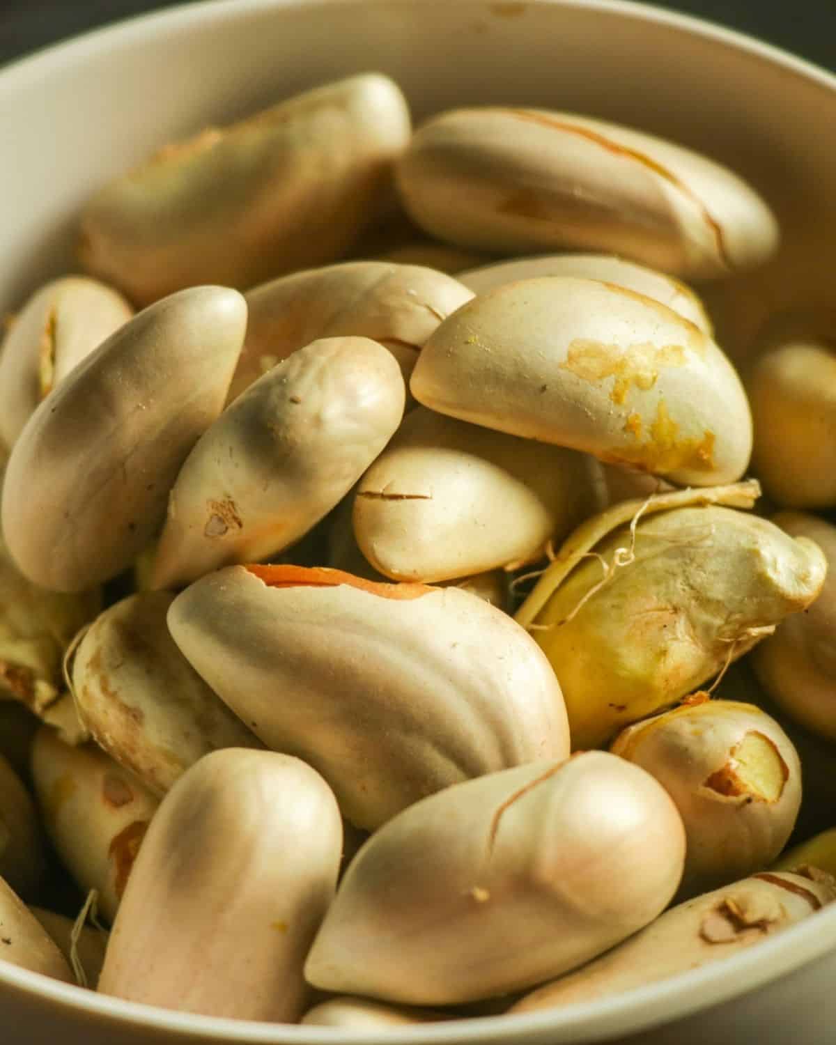 Jackfruit seeds in a bowl.