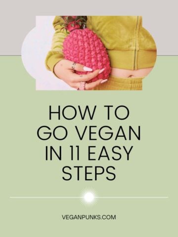 Image that says 'how to go vegan in 11 easy steps'.