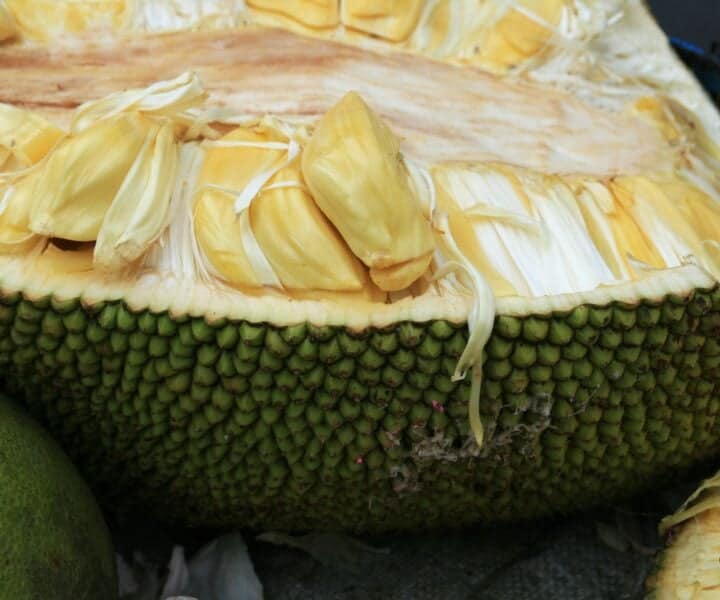How to Cook Jackfruit - Vegan Punks