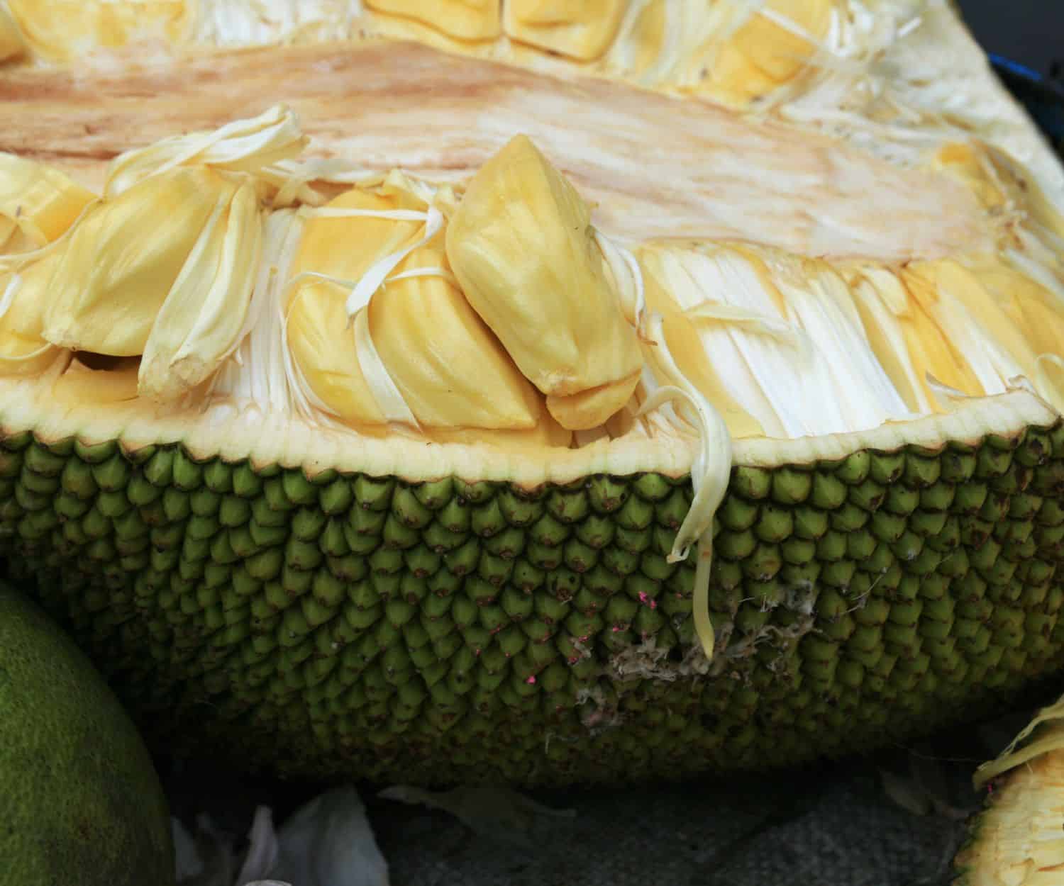 Side profile of a jackfruit cut in half.