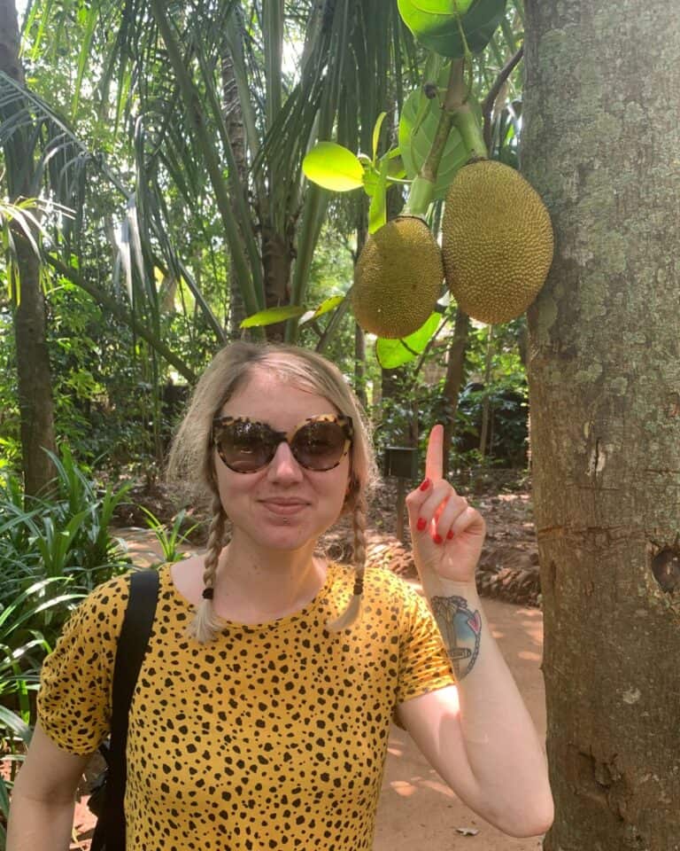 Where to Buy Jackfruit Vegan Punks