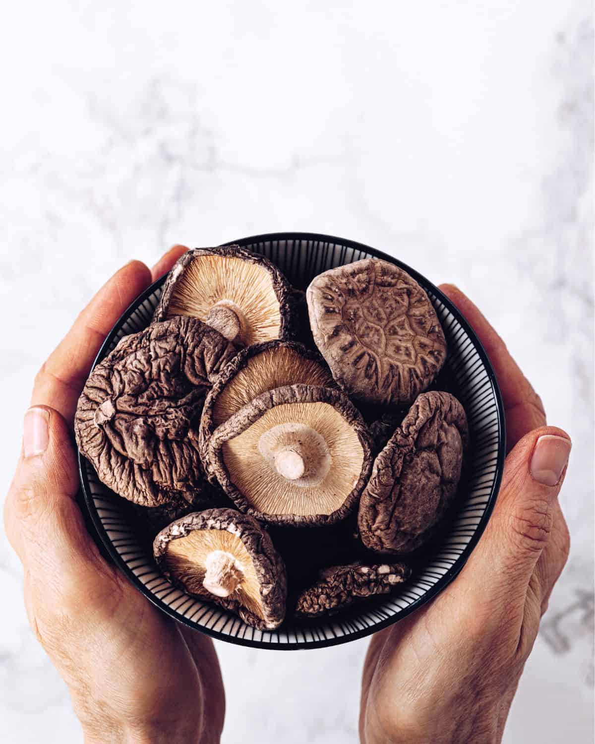Shiitake mushrooms in a bowl held by hands.