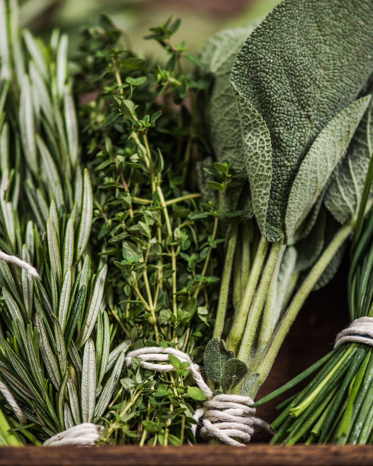 Fresh herb bunches.