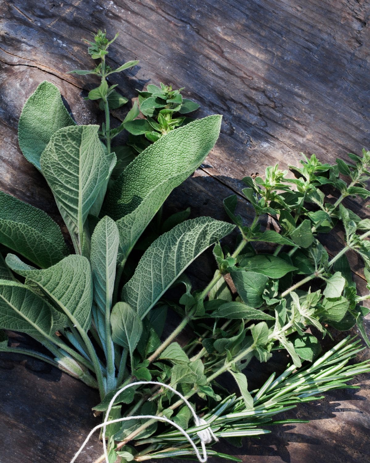 Fresh herb bunch on a wooden table.