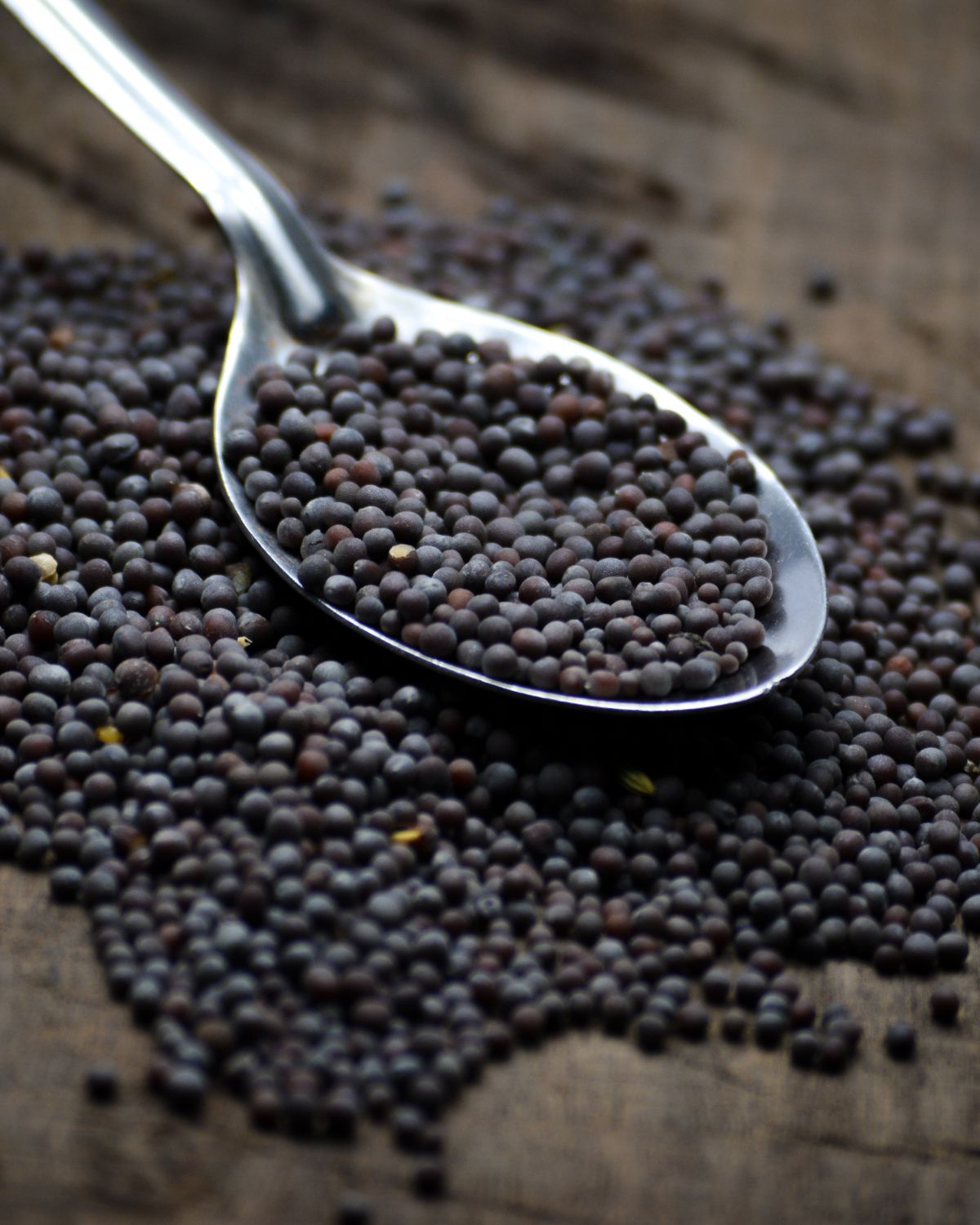 Black mustard seeds on a spoon.