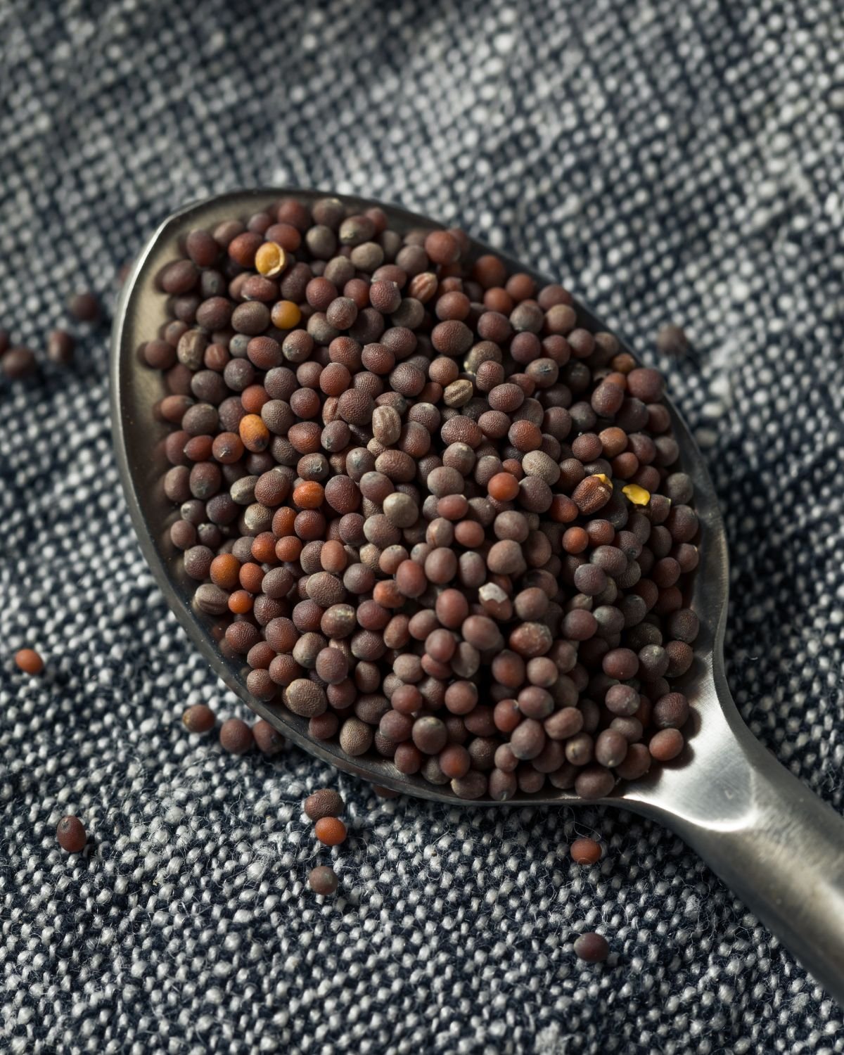 Brown mustard seeds on a spoon.