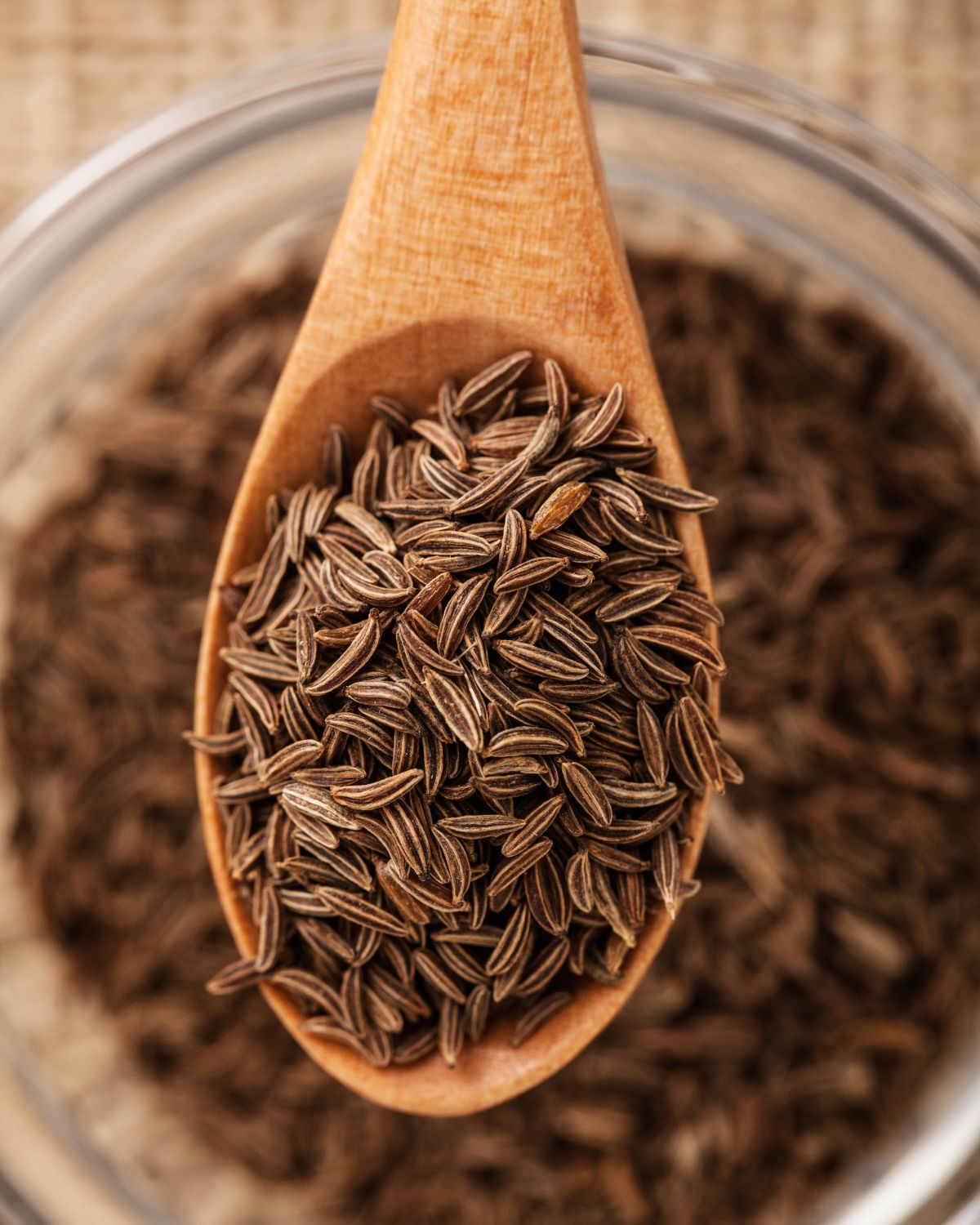 Cumin seeds on a wooden spoon.