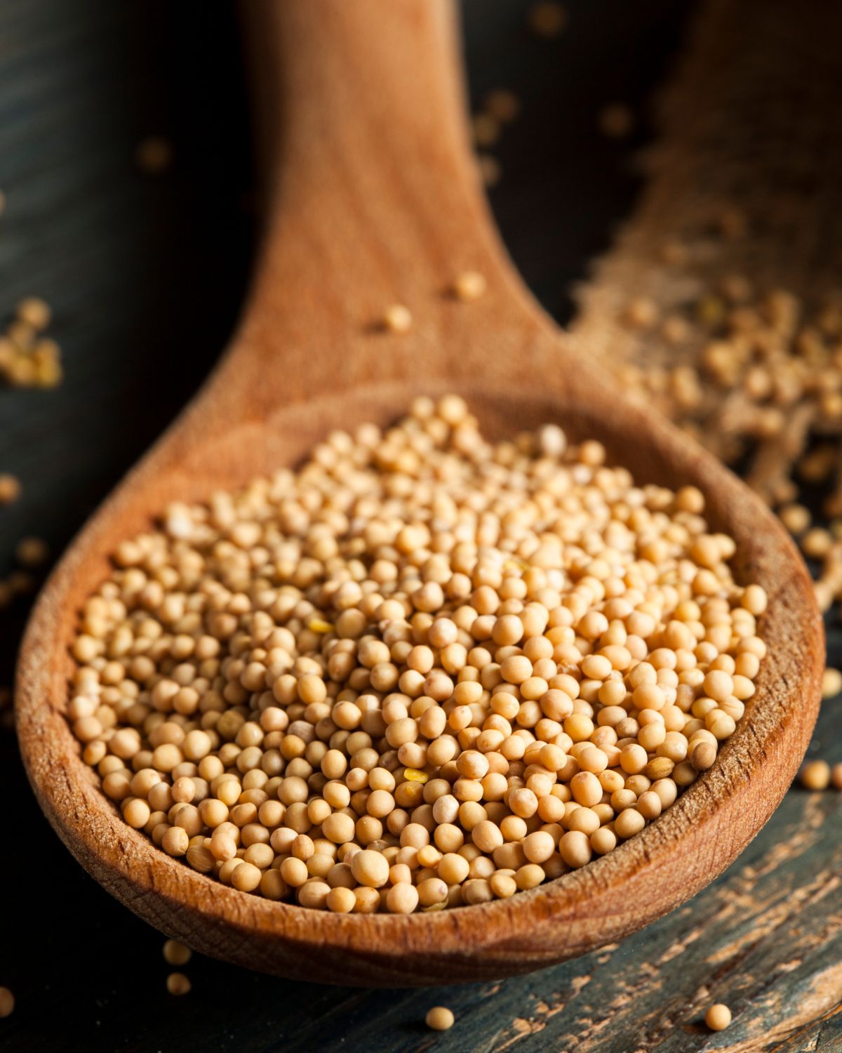 Yellow seeds on a wooden spoon.