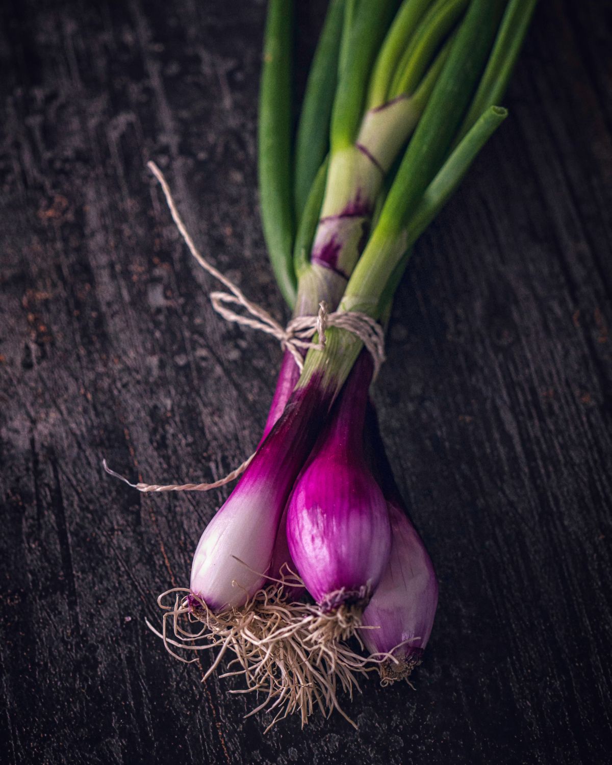 Red spring onions on a wooden board tied with string.