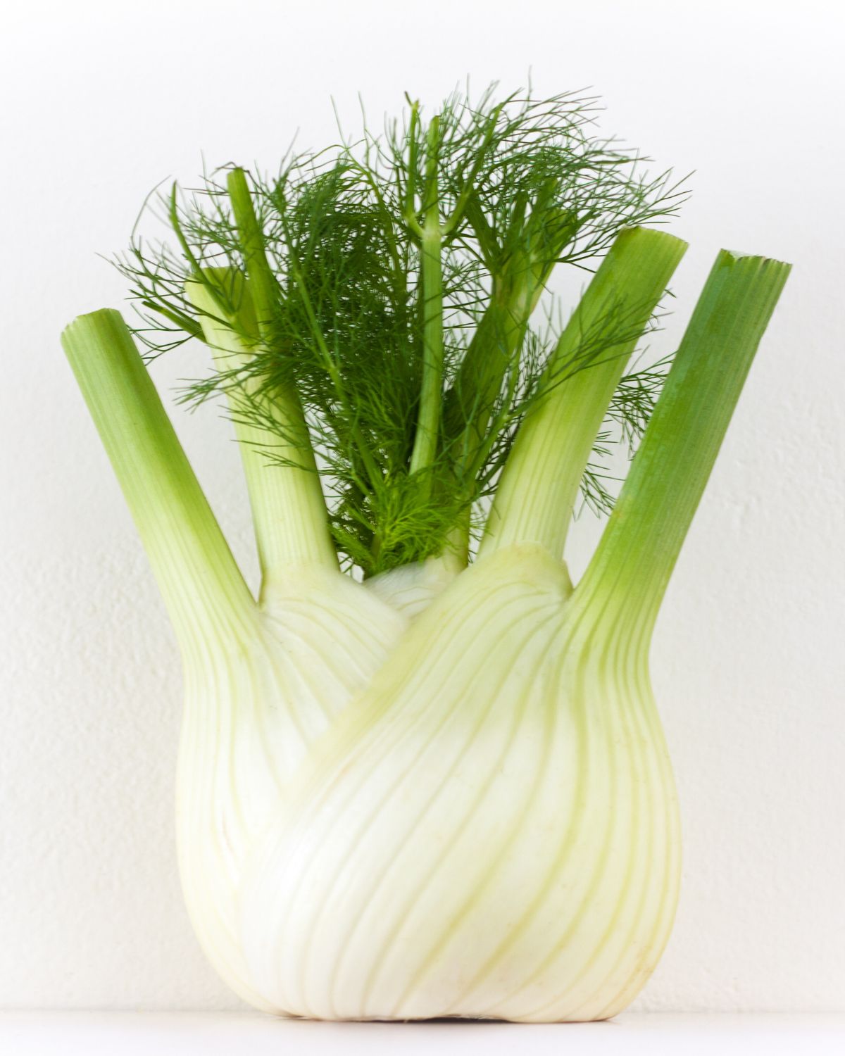 A fennel bulb with fennel fronds attached.